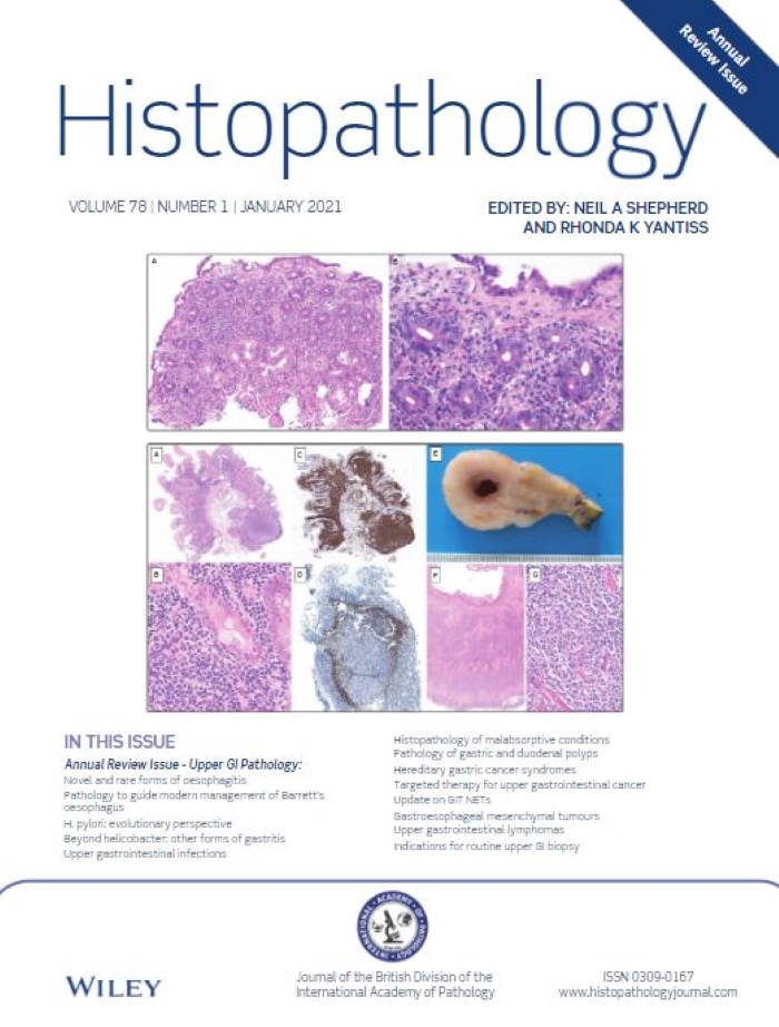 Histopathology Annual Review Issue Now Available image